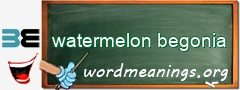 WordMeaning blackboard for watermelon begonia